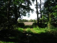 Klik op de foto voor groter formaat